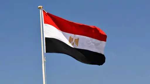 مصر تعزي النيجر في ضحايا حادث تصادم حافلتين مصر تعزي النيجر في ضحايا حادث تصادم حافلتين