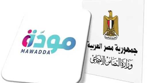 «التضامن»: نعتمد على أدوات كثيرة للقياس في المبادرات من أجل التطور