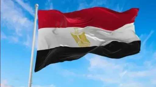 مصر تدين استهداف سفينتين إماراتيتين أثناء عبورهما مضيق... مصر تدين استهداف سفينتين إماراتيتين أثناء عبورهما مضيق هرمز