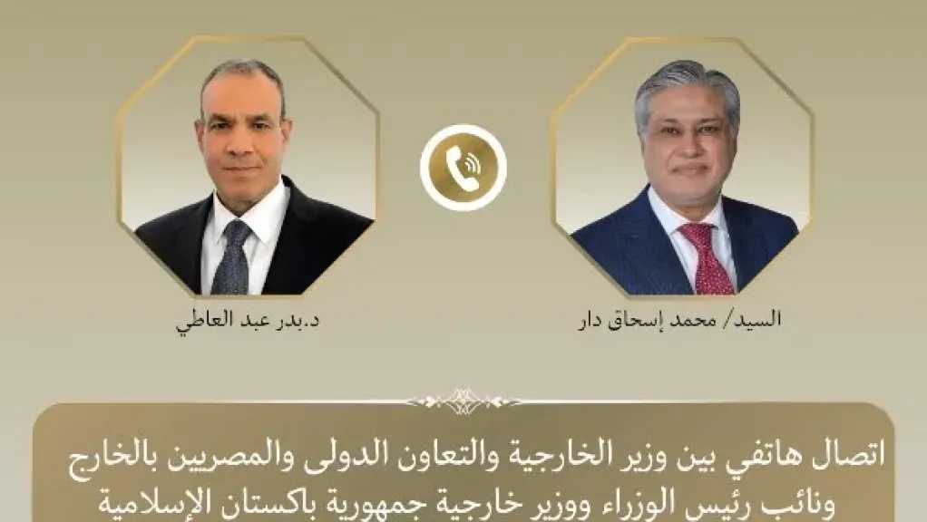 مصر وباكستان تبحثان خفض التصعيد وتعزيز التعاون الأمني والدفاعي