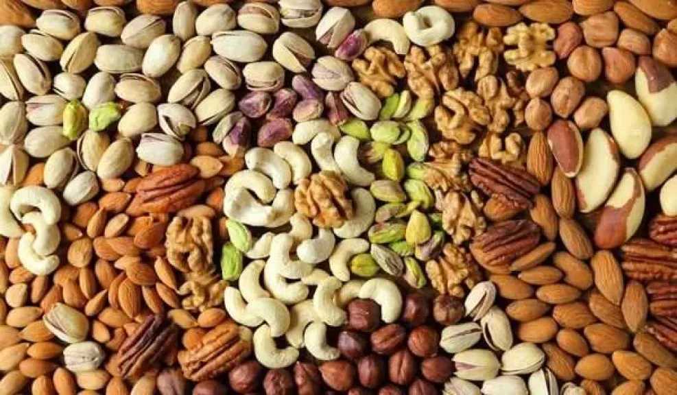 5 أطعمة مفيدة لصحة الدماغ يمكن تناولها في الإفطار