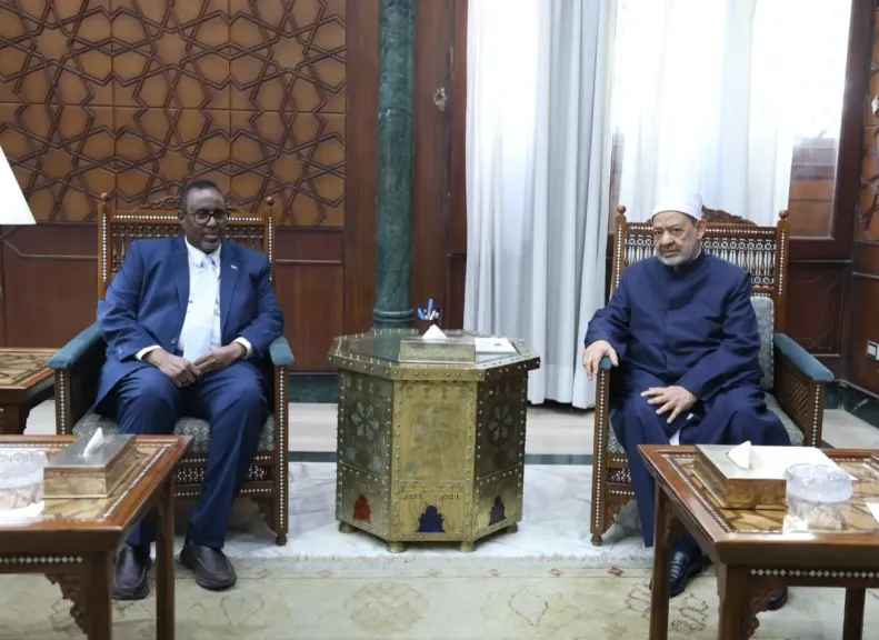 جانب من اللقاء 