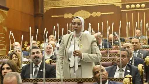 برلمانية تحذر إثيوبيا: ضبط النفس المصري ليس ضعفًا..... برلمانية تحذر إثيوبيا: ضبط النفس المصري ليس ضعفًا.. مصر لا تُبتز
