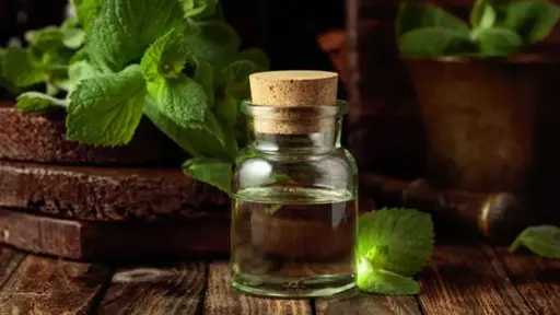 تعرف على فوائد زيت النعناع