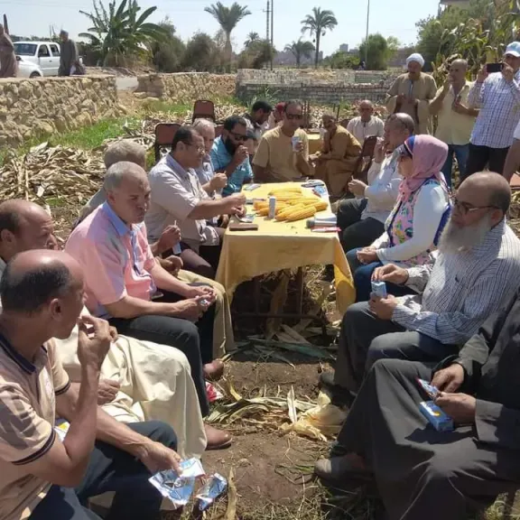 أرشيفية 