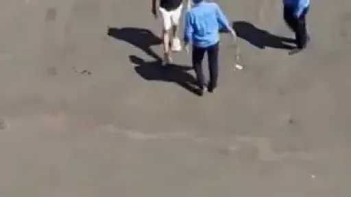 القبض على شاب بعد التعدي على أفراد أمن... القبض على شاب بعد التعدي على أفراد أمن داخل مجمع سكني بالتجمع الأول