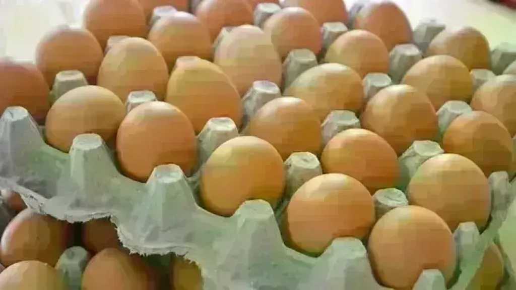 تفشي السالمونيلا في بريطانيا.. كيف تنتقل العدوى وطرق الوقاية منها؟