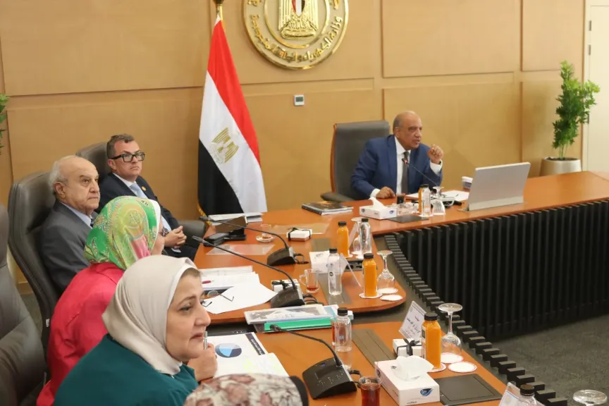 وزير الكهرباء خلال اللقاء