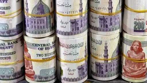 كيف تختار بين 5 شهادات ادخار متغيرة في... كيف تختار بين 5 شهادات ادخار متغيرة في البنوك المصرية؟