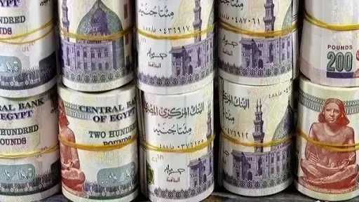 كيف تختار بين 5 شهادات ادخار متغيرة في... كيف تختار بين 5 شهادات ادخار متغيرة في البنوك المصرية؟