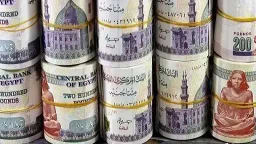 كيف تختار بين 5 شهادات ادخار متغيرة في... كيف تختار بين 5 شهادات ادخار متغيرة في البنوك المصرية؟