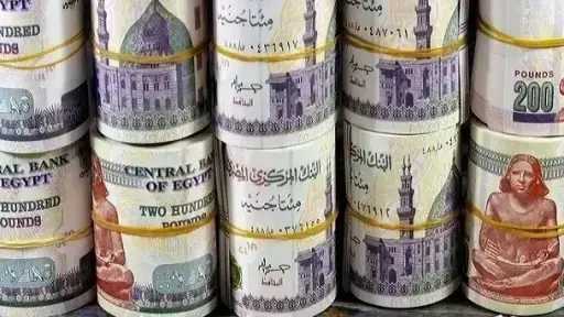 كيف تختار بين 5 شهادات ادخار متغيرة في... كيف تختار بين 5 شهادات ادخار متغيرة في البنوك المصرية؟