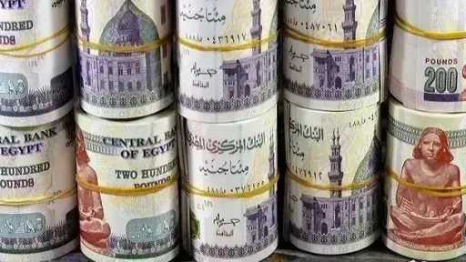 كيف تختار بين 5 شهادات ادخار متغيرة في البنوك المصرية؟