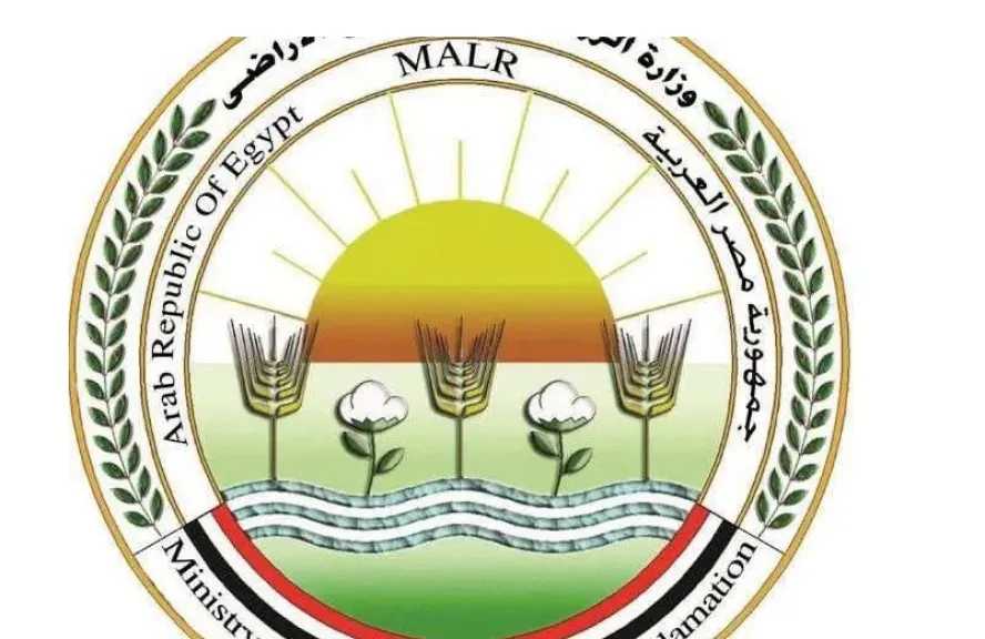 «الزراعة» تضبط 213 طنًا من اللحوم ومنتجاتها المخالفة خلال أغسطس
