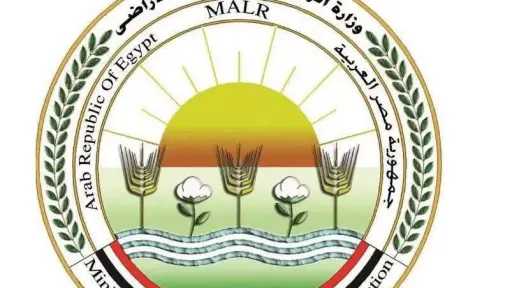 «الزراعة» تضبط 213 طنًا من اللحوم ومنتجاتها المخالفة... «الزراعة» تضبط 213 طنًا من اللحوم ومنتجاتها المخالفة خلال أغسطس