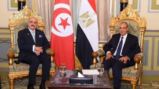 وزير الخارجية يلتقي نظيره التونسي بالقاهرة