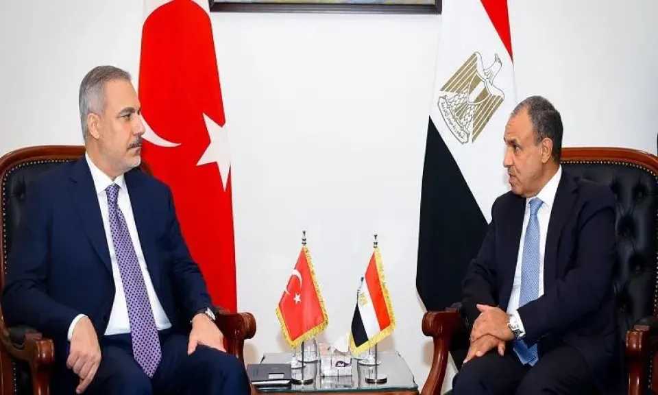 وزيرا الخارجية ونظيره التركي بحثان التطورات الإقليمية