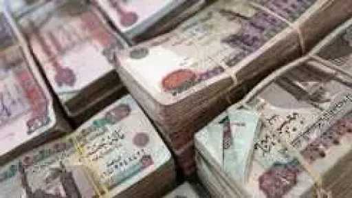 ضبط شخصين بتهمة غسل 150 مليون جنيه حصيلة النصب على المواطنين