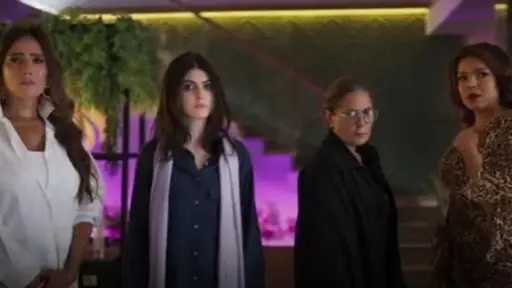 تفاصيل فيلم «بنات الباشا » تفاصيل فيلم «بنات الباشا »