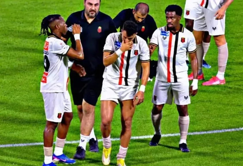 محمود حسن تريزيجيه