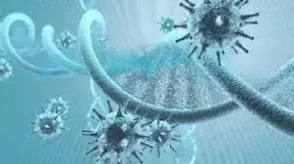 ظهور 3 حالات جديدة من حمى التيفوس في الهند