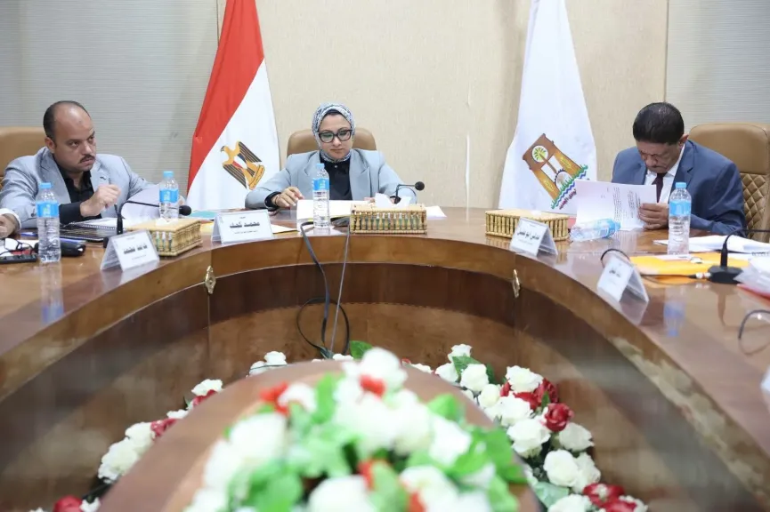 محافظ الوادي الجديد