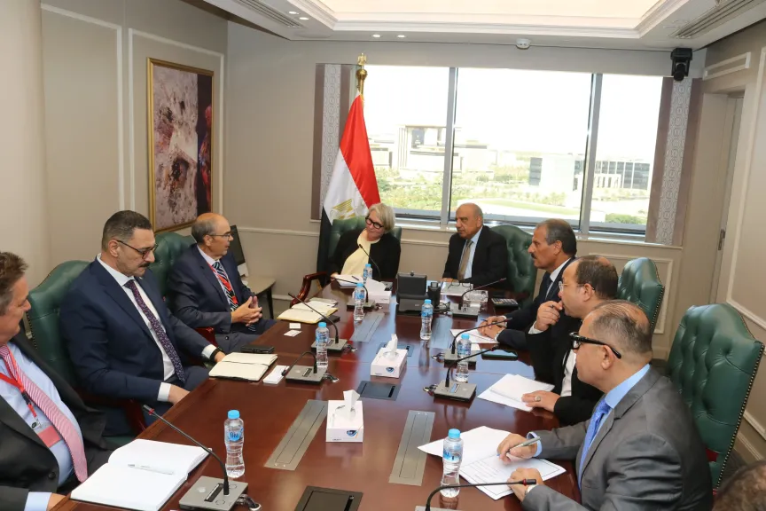 وزير الكهرباء يستقبل سفيرة فنلندا