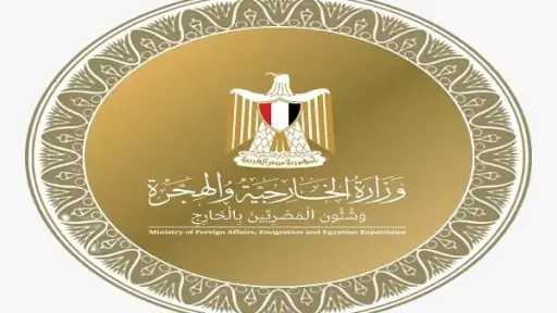 الخارجية: إيفاد لجان من مصلحة الأحوال المدنية لإصدار بطاقات الرقم القومي للمصريين بالخارج