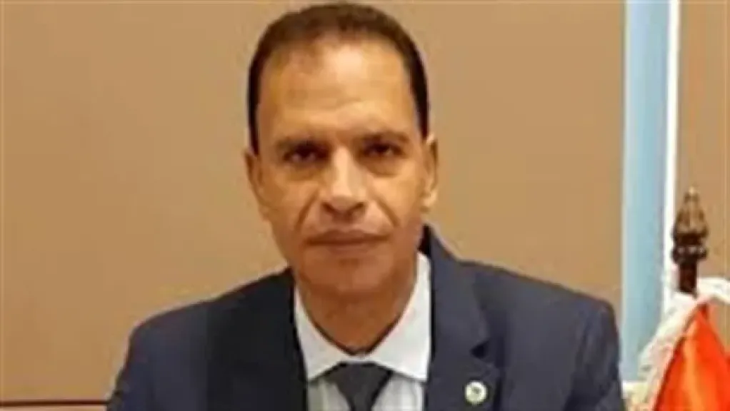 هشام رضوان