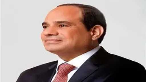 الرئيس السيسي يستعرض مع مدير وكالة الاستخبارات المركزية الأمريكية تطورات الأوضاع بالشرق الأوسط