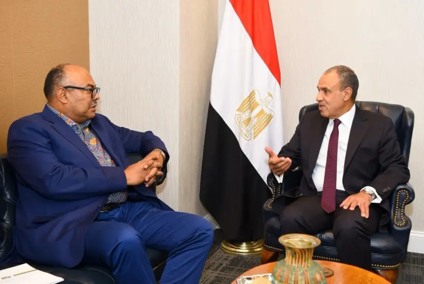 وزير الخارجية ونظيره التنزاني