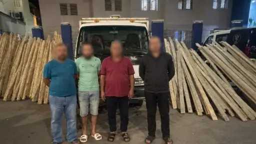 ضبط 3 أشخاص لسرقة حمولة أخشاب بناء في... ضبط 3 أشخاص لسرقة حمولة أخشاب بناء في دمياط.. واستعادة المسروقات