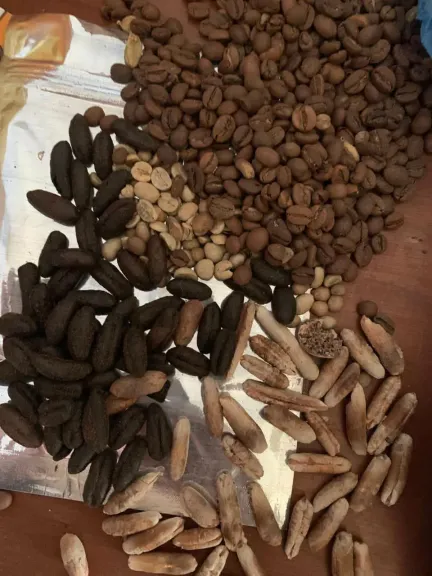 ضبط 600 كيلو بن مغشوش ومنتهي الصلاحية 