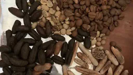 ضبط 600 كيلو بن مغشوش ومنتهي الصلاحية في... ضبط 600 كيلو بن مغشوش ومنتهي الصلاحية في الغربية قبل تداوله بالأسواق