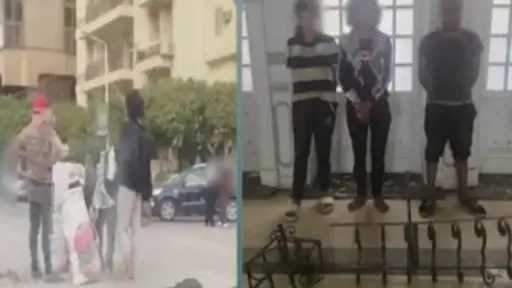 ضبط 3 متهمين بسرقة حديد أعمدة الإنارة في الجيزة