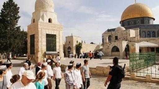 مئات المستوطنين يقتحمون الأقصى في اليوم الرابع من عيد العرش