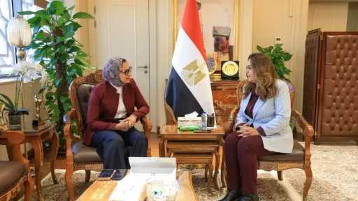وزيرة التنمية المحلية والبيئة تتابع مع محافظ الوادي... وزيرة التنمية المحلية والبيئة تتابع مع محافظ الوادي الجديد المشروعات التنموية والخدمية