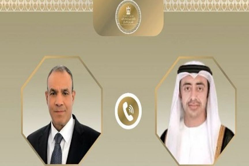وزير الخارجية ونظيره الإماراتي