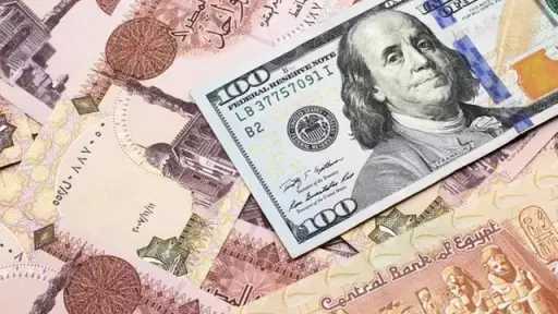 الجنيه يتراجع 2% أمام الدولار في سبتمبر وسط... الجنيه يتراجع 2% أمام الدولار في سبتمبر وسط صافي بيع للأجانب بأذون الخزانة