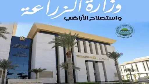 ”الزراعة”: ضبط نحو 175 طنًا من اللحوم ومنتجاتها... ”الزراعة”: ضبط نحو 175 طنًا من اللحوم ومنتجاتها المخالفة خلال سبتمبر