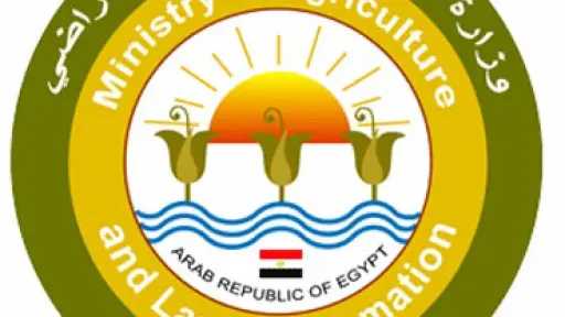 بمناسبة احتفالات انتصارات أكتوبر.. ”الزراعة” تستعرض جهود ”بحوث الصحراء” لتحقيق التنمية الزراعية في سيناء خلال عام