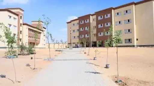 وزارة التنمية المحلية والبيئة تدعم مدرسة الكرنك بمدينة... وزارة التنمية المحلية والبيئة تدعم مدرسة الكرنك بمدينة بدر في القاهرة بـ150 شجرة