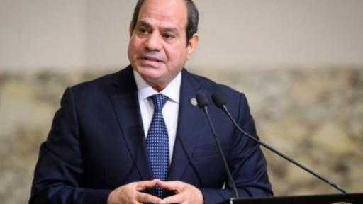 أستاذ إدارة أعمال: الرئيس السيسي يقود دبلوماسية اقتصادية متوازنة ومرنة