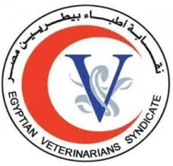 مصر 2030
