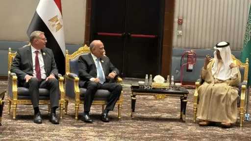 مصر والسعودية تبحثان تعزيز التكامل في قطاع الطاقة... مصر والسعودية تبحثان تعزيز التكامل في قطاع الطاقة وتوسيع الشراكات في البترول والغاز والكهرباء