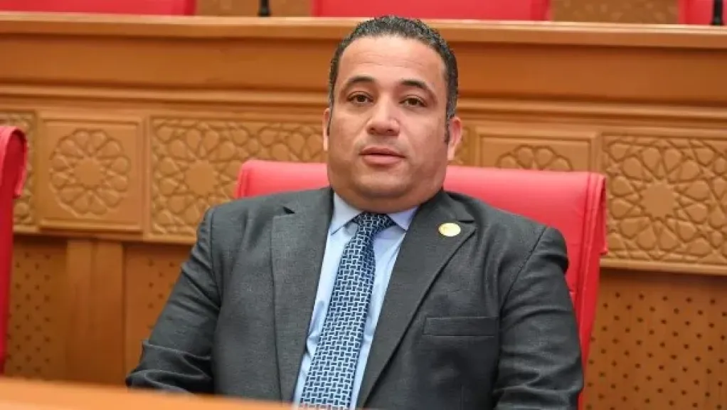 هاني شحاتة، عضو مجلس النواب