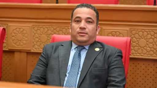 برلماني يكشف مفاجأة عن قانون التصالح: مفيد لغير... برلماني يكشف مفاجأة عن قانون التصالح: مفيد لغير المستفيدين بالعزب والنجوع