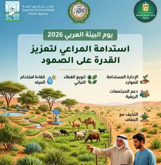 مصر 2030