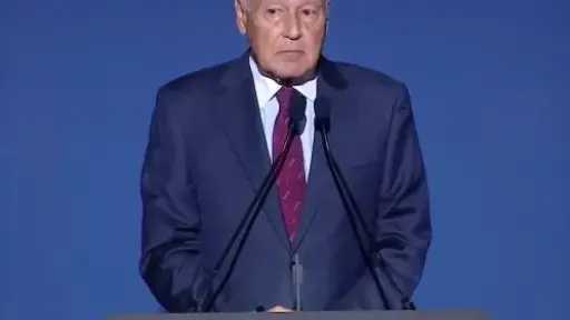 أبو الغيط: الرئيس السيسي تصدى لتحدي إنقاذ مصر بعزيمة وإرادة قوية