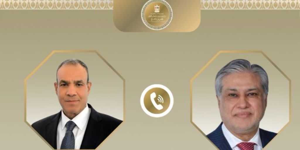 وزير الخارجية ونظيره الباكستاني يبحثان جهود خفض التصعيد